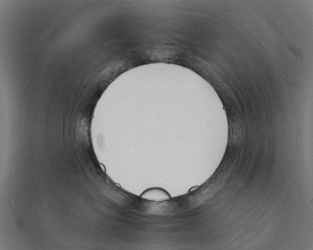 X0000111250575200907301329