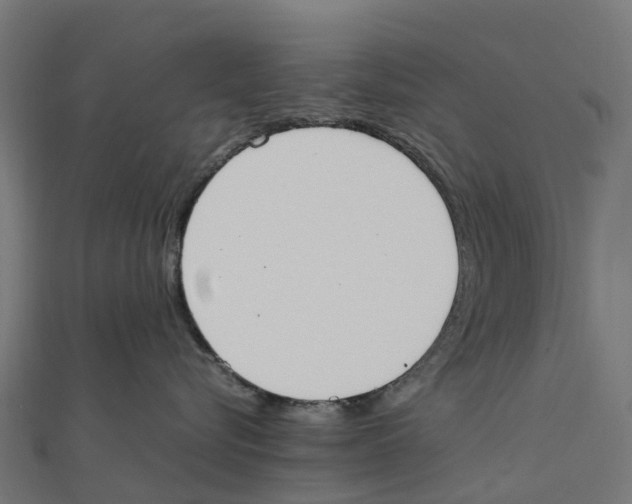 X0000111250576200907301329