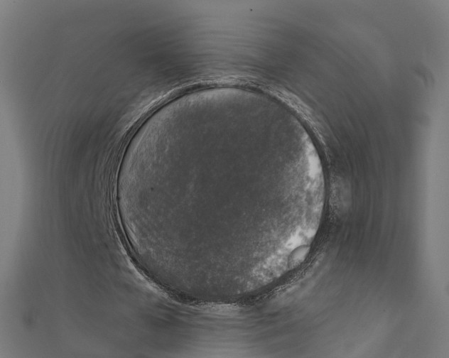 X0000111250577200907301329