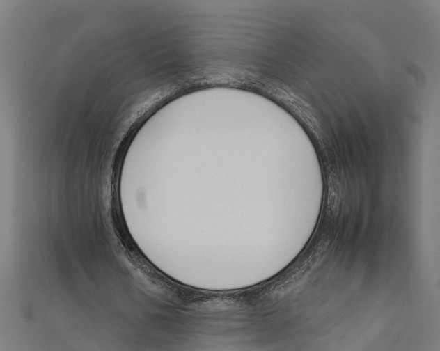 X0000111250578200907301329