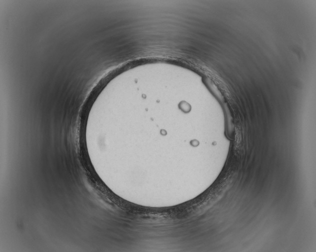 X0000111250580200907301329