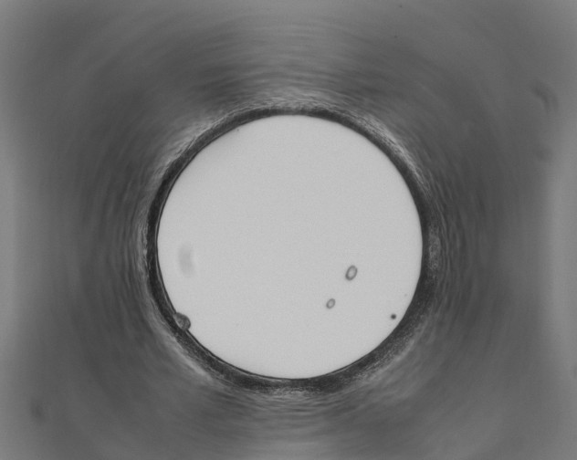 X0000111250581200907301329