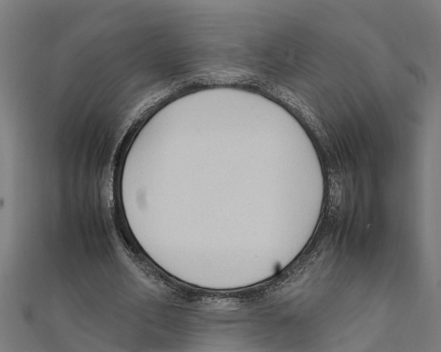 X0000111250582200907301329