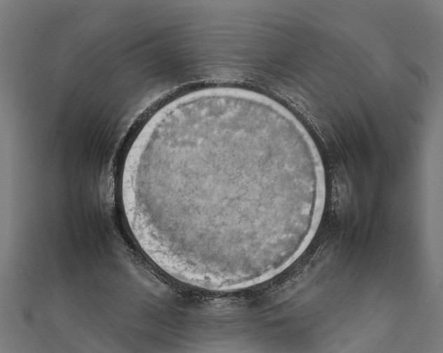 X0000111250584200907301328