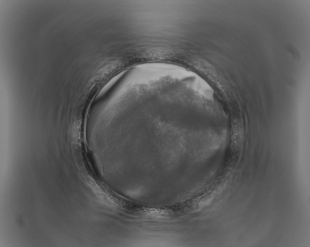 X0000111250585200907301328