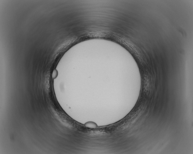 X0000111250586200907301328