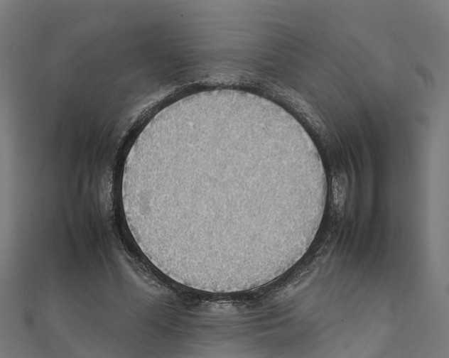 X0000111250588200907301328