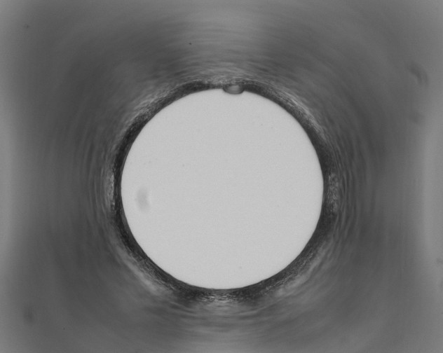 X0000111250589200907301328