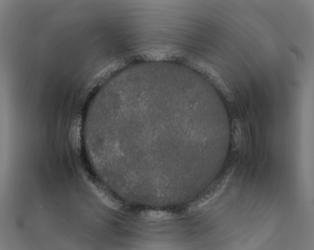 X0000111250590200907301328