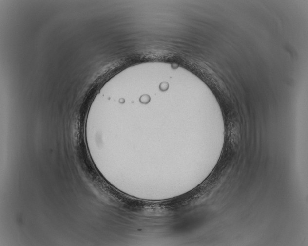 X0000111250591200907301328