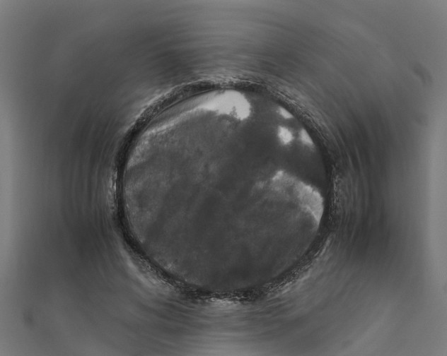 X0000111250592200907301328