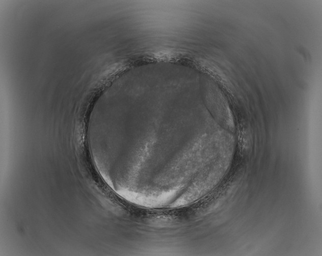 X0000111250593200907301328