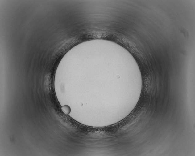 X0000111250594200907301328