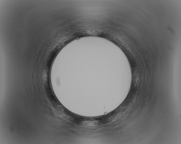 X0000111250595200907301328