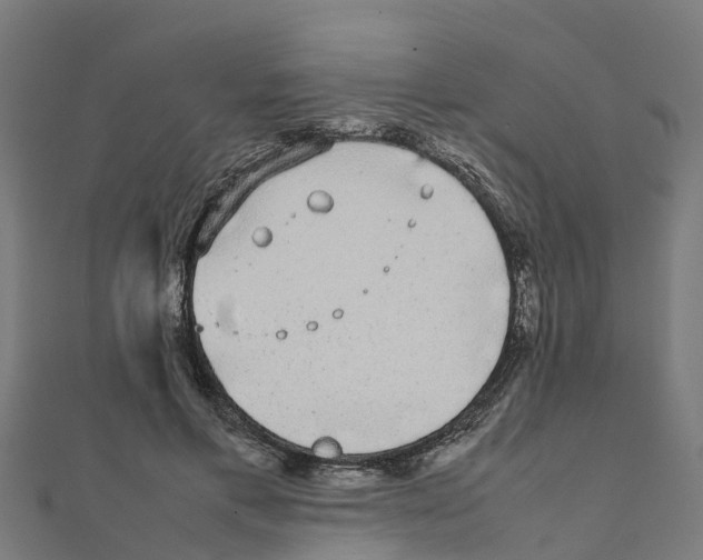 X0000111250597200907301328