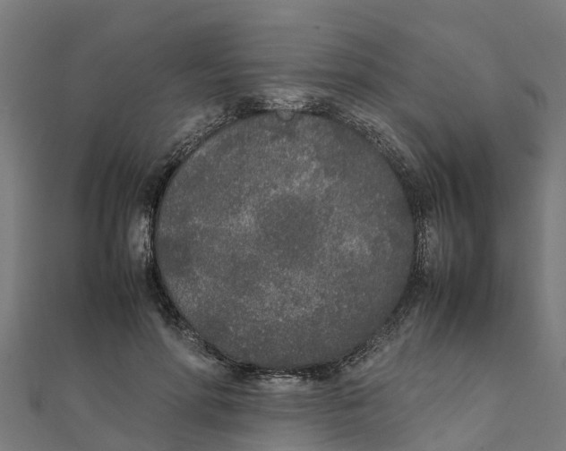 X0000111250598200907301328