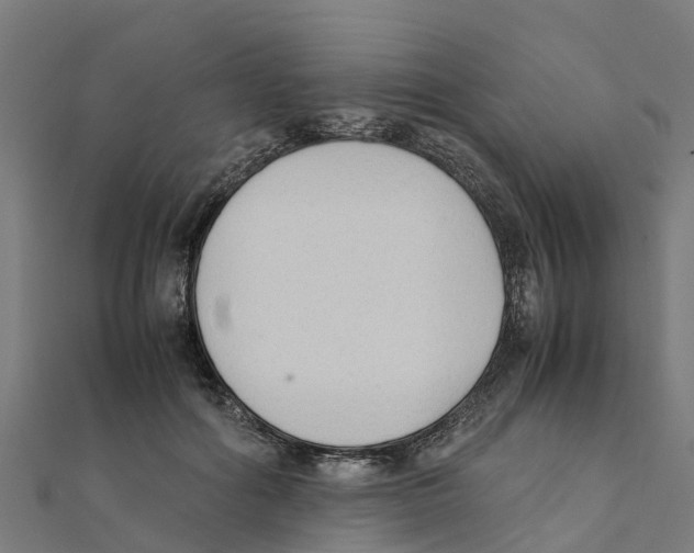 X0000111250602200907301328