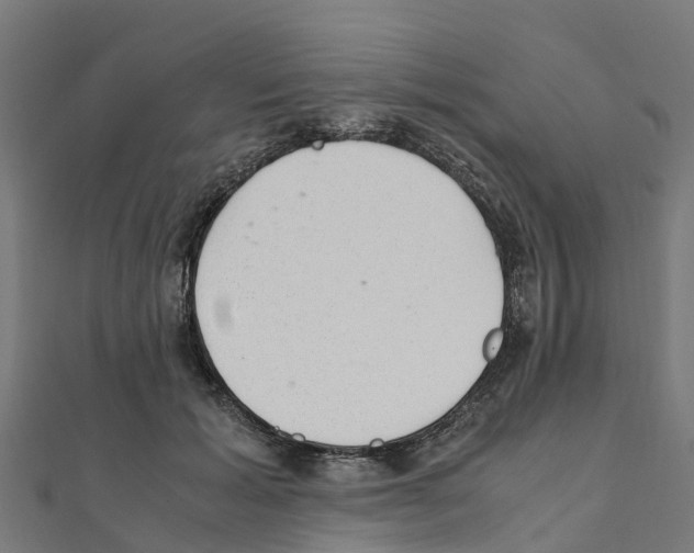 X0000111250605200907301328