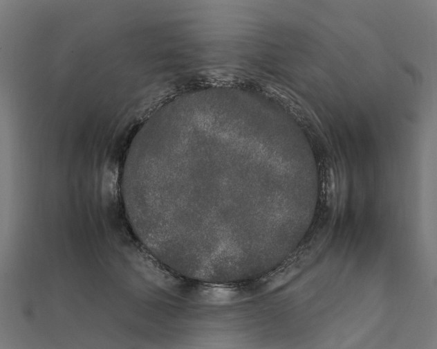 X0000111250610200907301328