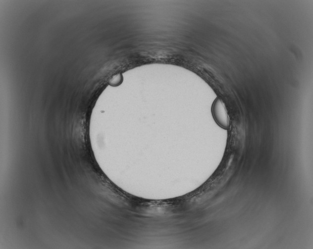 X0000111250612200907301328