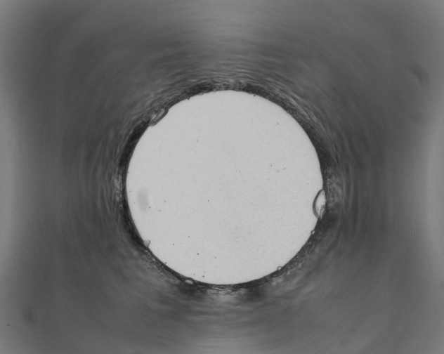 X0000111250613200907301328