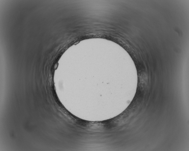 X0000111250617200907301328