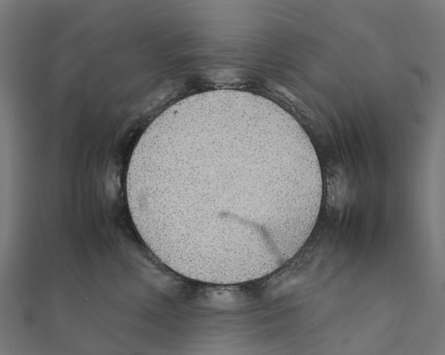 X0000111250618200907301328