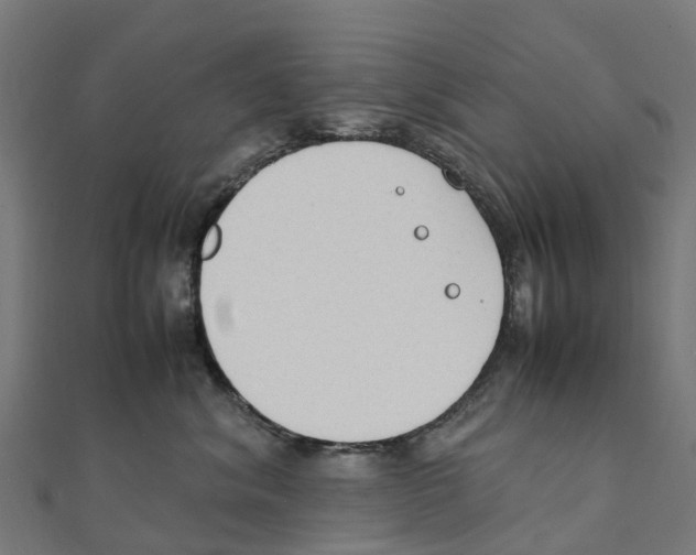 X0000111250620200907301328