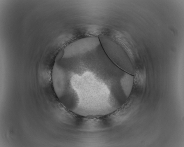 X0000111250621200907301328