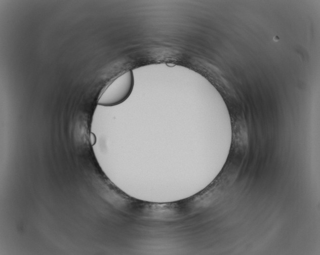 X0000111250622200907301328