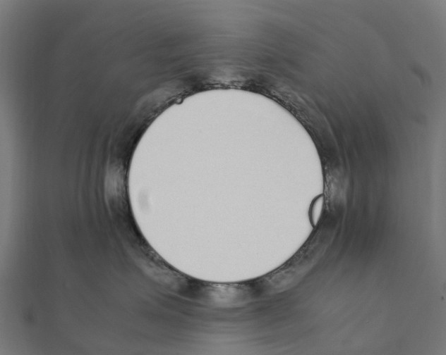 X0000111250623200907301328