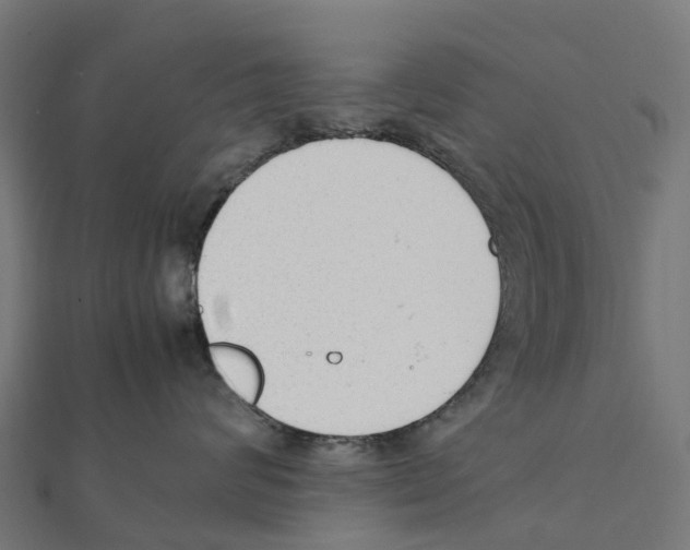 X0000111250624200907301328