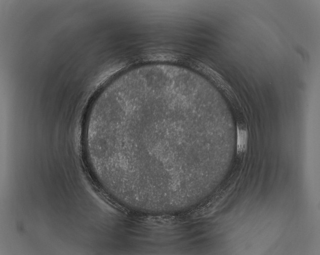 X0000111250627200907301327