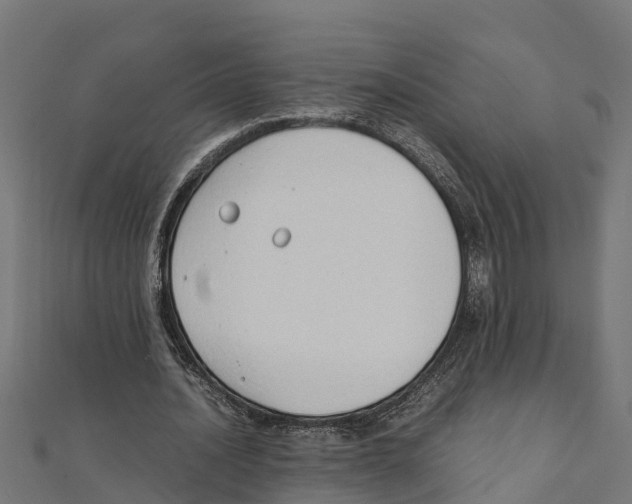 X0000111250628200907301327