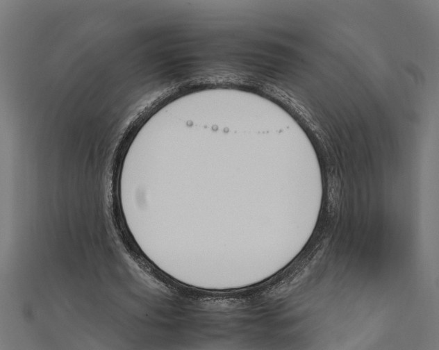 X0000111250629200907301327