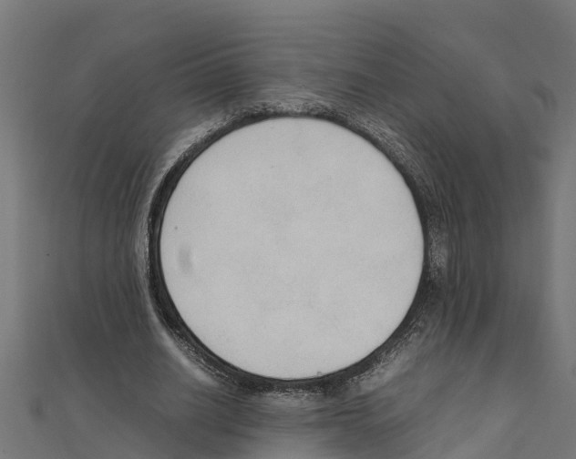 X0000111250630200907301327