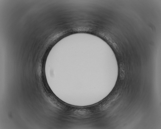 X0000111250631200907301327