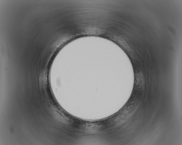 X0000111250632200907301327