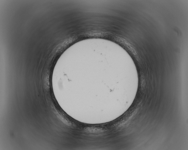 X0000111250633200907301327