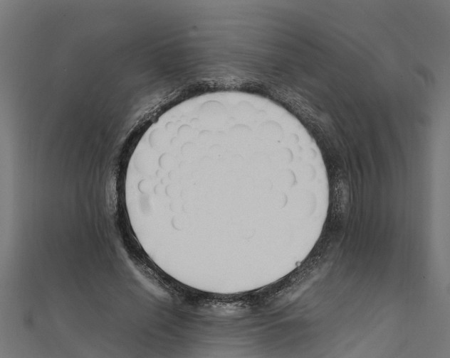 X0000111250638200907301328