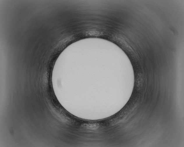 X0000111250639200907301328