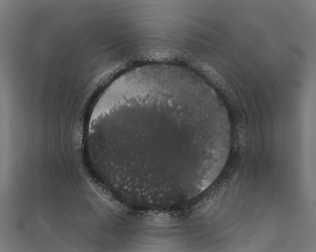 X0000111250640200907301328