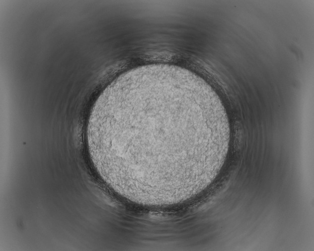 X0000111250641200907301328