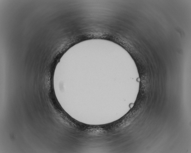 X0000111250642200907301328