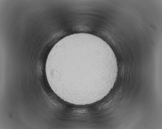 X0000111250643200907301328