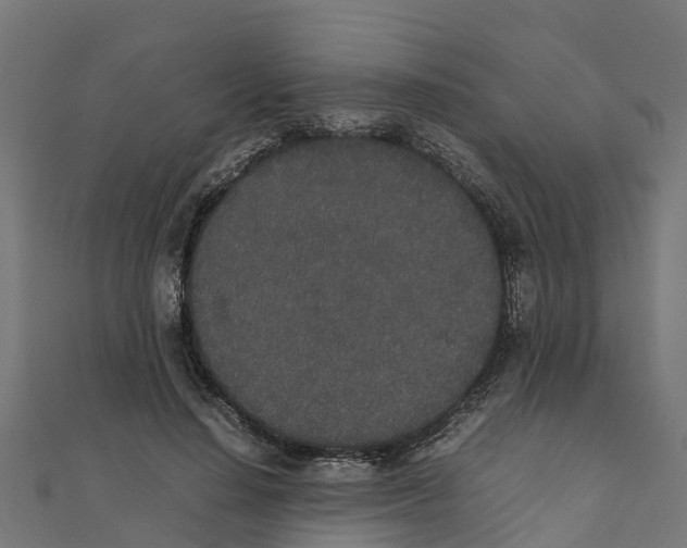 X0000111250644200907301328