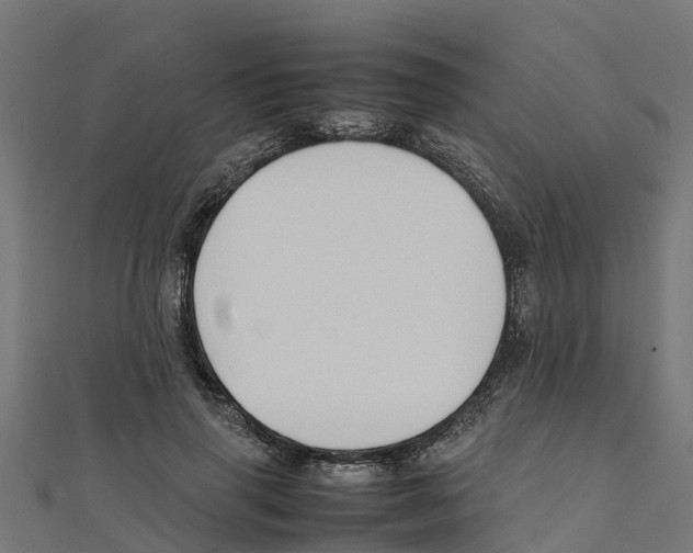 X0000111250645200907301328