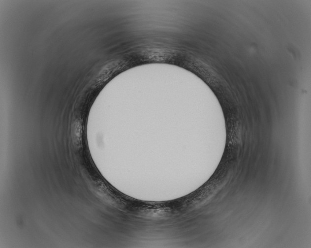 X0000111250646200907301328