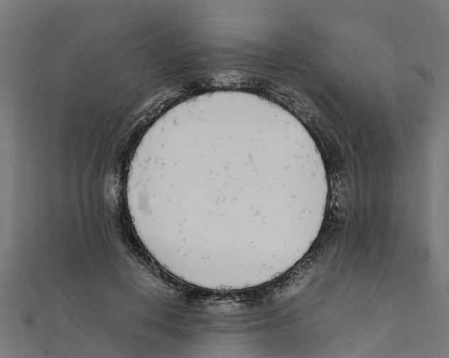 X0000111250648200907301328