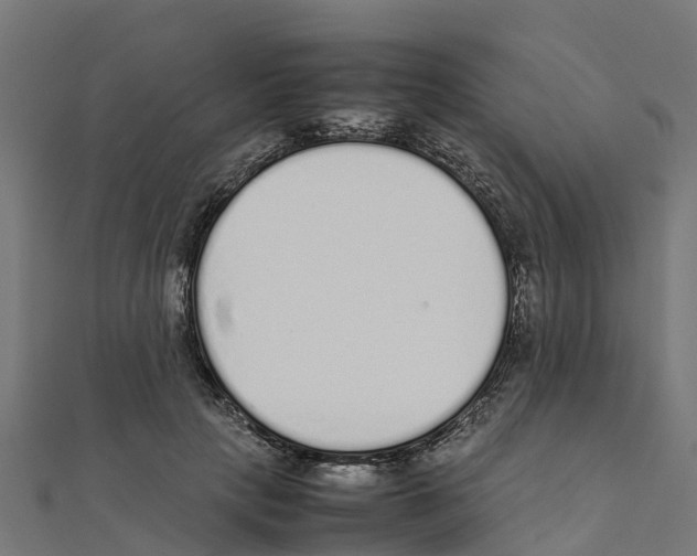 X0000111250649200907301328